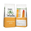 เมล็ดพันธุ์ข้าวโพด ไพโอเนีย พี4567 ขนาด 10 กิโลกรัม