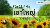 รีวิว 12 ที่พักเขาใหญ่ วิวสุดจึ้ง ที่เที่ยวใกล้กรุงเทพ 2025 รีวิว 12 ที่พักเขาใหญ่ วิวสุดจึ้ง ที่เที่ยวใกล้กรุงเทพ 2025