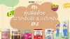 หุ่นฟิตด้วย 12 โปรตีนพืช & เวย์โปรตีน