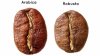 Kopi Arabika vs Robusta untuk Espresso, Kopi Arabika vs Robusta untuk Espresso,
