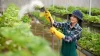 Why Organic Farming Is the Future of Sustainable Agriculture Why Organic Farming Is the Future of Sustainable Agriculture