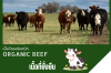 เนื้อวัวออร์แกนิก (Organic Beef) เนื้อที่ยั่งยืน