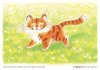 Art Print : Pumpkin & Poskii - Hello