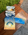 zine : Genesis of formation