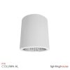 COLUMN AL
