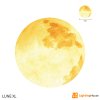 LUNE XL