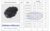 Pricelistblackcom Pricelistblackcom