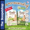 [10ลิตร] Kasty ทรายแมวเต้าหู้