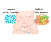 จุลินทรีย์โพรไบโอติกส์และไฟเบอร์ใน V Plant Protein