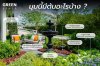 สวนมุมนี้มีต้นอะไรบ้าง? สวนมุมนี้มีต้นอะไรบ้าง?