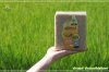 ข้าวกล้องหอมมะลิสุรินทร์ (Surin Brown Jasmine Rice) ข้าวกล้องหอมมะลิสุรินทร์ (Surin Brown Jasmine Rice)