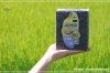 ข้าวไรซ์เบอร์รี (Riceberry)