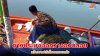 คลื่นลมสงบ ชาวประมงพื้นบ้านไม้รูดออกวางอวนลอย สร้างรายได้เลี้ยงครอบครัว คลื่นลมสงบ ชาวประมงพื้นบ้านไม้รูดออกวางอวนลอย สร้างรายได้เลี้ยงครอบครัว