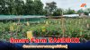 ลำปางยกระดับเกษตรอัจฉริยะ เปิดต้นแบบ Smart Farm SANDBOX Model สู่ชุมชนนวัตกรรม ลำปางยกระดับเกษตรอัจฉริยะ เปิดต้นแบบ Smart Farm SANDBOX Model สู่ชุมชนนวัตกรรม