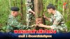 กาญจนบุรีพบรอยเท้าเสือโคร่งขนาดใหญ่ คาดมี 2 ตัวลงหากินใกล้ชุมชน กาญจนบุรีพบรอยเท้าเสือโคร่งขนาดใหญ่ คาดมี 2 ตัวลงหากินใกล้ชุมชน
