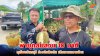 พายุ 10 นาที ถล่มสวนทุเรียนจันทบุรี ร่วงนับสิบตัน เสียหายหลายล้าน พายุ 10 นาที ถล่มสวนทุเรียนจันทบุรี ร่วงนับสิบตัน เสียหายหลายล้าน