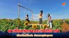 หยุดยาวปีใหม่ ทุ่งทานตะวันไร่อาม่า จ.ตาก คึกคัก ดันเศรษฐกิจชุมชน