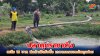 ราชบุรีปลาดุกราคาดิ่ง เหลือ 18 บาท พ่อค้าเมินรับซื้อ เกษตรกรแบกต้นทุนอ่วม ราชบุรีปลาดุกราคาดิ่ง เหลือ 18 บาท พ่อค้าเมินรับซื้อ เกษตรกรแบกต้นทุนอ่วม