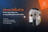 พัฒนาการ พัฒนาการ