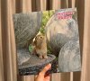 Anatomy Rabbit :  HooTok