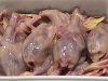 ลูกไก่ไร้ขน 3 แพ็ค