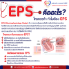 EPS คืออะไร? ใครควรทำ ทำไมต้อง EPS EPS คืออะไร? ใครควรทำ ทำไมต้อง EPS