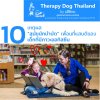 เหตุผลที่สุนัขนักบำบัดคือเพื่อนที่แสนดีของเด็กที่มีภาวะออทิสซึม เหตุผลที่สุนัขนักบำบัดคือเพื่อนที่แสนดีของเด็กที่มีภาวะออทิสซึม