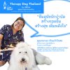 Cooperation with Professionals ขอขอบพระคุณ –  ที่ปรึกษาโครงการ