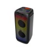 Aconatic ลำโพง PARTY SPEAKER (100 วัตต์) รุ่น AN-SP167 (สีดำ) (BT)