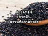 ประโยชน์ของสารสกัดเซซามินที่ได้จากงาดำ ประโยชน์ของสารสกัดเซซามินที่ได้จากงาดำ