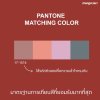 รู้จักกับ Pantone รู้จักกับ Pantone