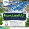 โครงหลังคาสำเร็จรูป RMC Truss ได้รับการรับรอง “Carbon Footprint” อย่างเป็นทางการ !! จากองค์การบริหารจัดการก๊าซเรือนกระจก (TGO) โครงหลังคาสำเร็จรูป RMC Truss ได้รับการรับรอง “Carbon Footprint” อย่างเป็นทางการ !! จากองค์การบริหารจัดการก๊าซเรือนกระจก (TGO)