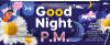 GOOD NIGHT P.M. 4 g x 10