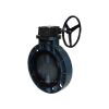 LD - UPVC SCH80 Butterfly Valve Gear Type