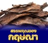 ไม้กฤษณา (Agarwood) ไม้กฤษณา (Agarwood)
