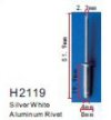 H2119