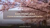 Blooming Asia กับ 4 จุดหมายยอดนิยมพร้อมช่วงเวลาที่สวยที่สุด