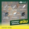 สาเหตุและวิธีป้องกัน 'สนิม' สาเหตุและวิธีป้องกัน 'สนิม'