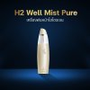 เครื่องพ่นหน้าไฮโดรเจน H2 Well Mist Pure