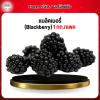 แบล็คเบอรี่ (ฺBlackberry) 1 กก./เเพค