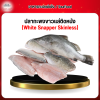 ปลากะพงขาวเเล่ติดหนัง (White Snapper Skinless) 1 กก.