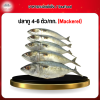 ปลาทู 4-6 ตัว/1 กก. (Mackerel)