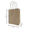 Kraft Paper bag with Handle KI 100 Gsm