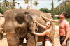 Krabi: Half-day Elephant Sanctuary