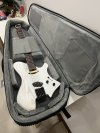 Astro Headless Guitar Bag