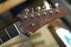 Gusteau Guitar GST01 Black to White