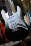 Gusteau Guitar GST01 Black to White
