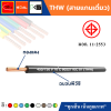 THAI UNION ไทยยูเนี่ยน THW 1x6 SQ.MM. สายไฟทองแดง (ม้วน 100 เมตร)