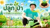 "แพนฟู้ด ปลูกป่าเพื่ออนาคตสีเขียว"