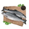 Fresh Salmon Gutted H/On (Norway) ปลาแซลมอนแอตแลนติกสด ทั้งตัว มีหัว จากประเทศนอร์เวย์